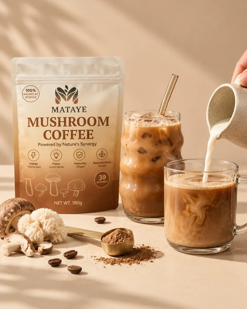 Chaga Mushroom: What It Is, Taste, Evidence and Safety