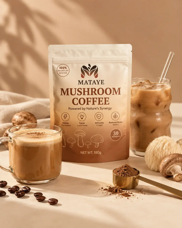 A bag of Mataye Mushroom Coffee on a tan surface next to a mug of latte and a glass of iced mushroom coffee, styled with whole lions mane and reishi mushrooms, coffee beans, and a gold measuring scoop of cocoa powder.
