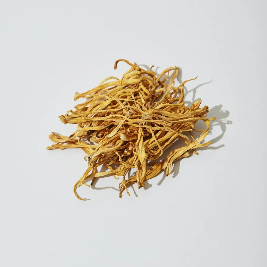 cordyceps